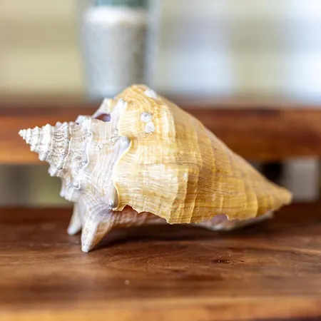 Апартаменты Strandstrasse 2 Treibgut