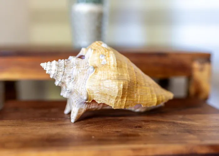 아파트 Strandstrasse 2 Treibgut